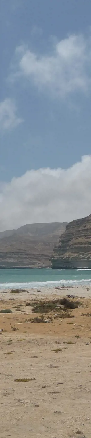 Entdecke abgelegene Pfade und Wasservögel im Wadi Shuwaymiah